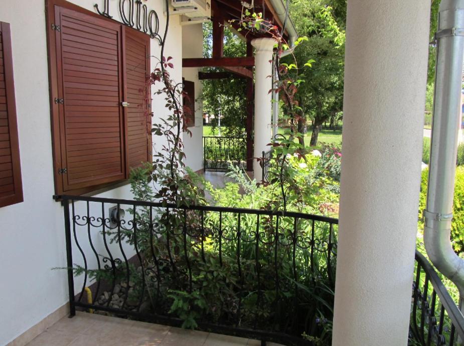 Villa Patio المظهر الخارجي الصورة